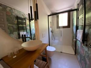 a bathroom with a sink and a shower at El Serrat De Tregura in Vilallonga de Ter