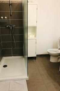 bagno con doccia e servizi igienici. di Large studio with private parking Vallauris a Vallauris