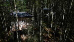 ein kleines Haus inmitten eines Waldes von Bäumen in der Unterkunft Domek w drzewach w Siedlisku Polanka 