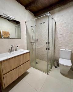 a bathroom with a shower and a toilet and a sink at Casa A Poza in Samos