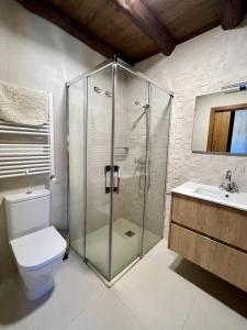 a bathroom with a shower and a toilet and a sink at Casa A Poza in Samos