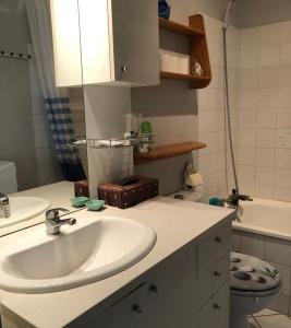 een badkamer met een witte wastafel en een toilet bij Green Square Grand Balcon LE LAC et centre ville à pied Annecy in Annecy