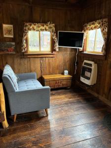 a living room with a couch and a tv at The Renovated Barn at Seneca Rocks in Seneca Rocks