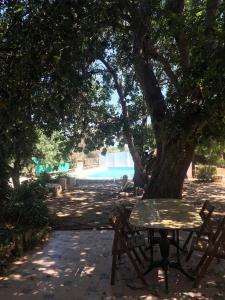 una mesa de picnic bajo un árbol en un parque en La Casa del Carrubo con Piscina condivisa in campagna vicino al mare - Canestanco 18, en Santa Croce Camerina