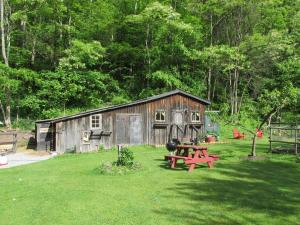a small shed with a picnic table in a yard at The Renovated Barn at Seneca Rocks in Seneca Rocks