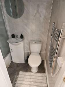 a small bathroom with a toilet and a sink at Cosy Studio Flat in Bexleyheath