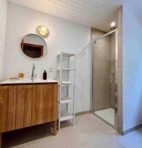y baño con lavabo y ducha. en Chalet Alto, en Basse-sur-le-Rupt