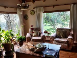 貝爾格拉諾將軍別墅的住宿－Posada La Lucía - Adults Only，客厅配有两把椅子和一张茶几