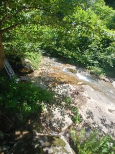 Foto dalla galleria di hanefi şahin günlük kiralık ev a Çaykara