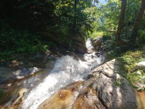 Foto dalla galleria di hanefi şahin günlük kiralık ev a Çaykara