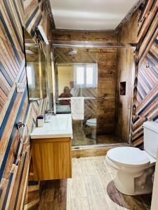 a bathroom with a toilet and a sink and a shower at Villa Panorama in Montego Bay