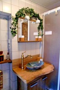 uma casa de banho com um lavatório e um espelho em Ferienwohnung Heideschwedin l em Eschede