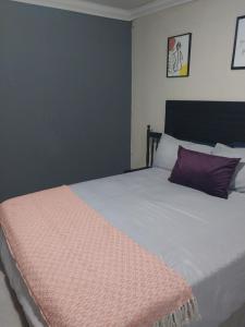 a bedroom with a bed with a pink blanket on it at Comfort place 3 in Pretoria