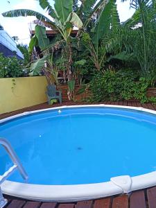 une grande piscine bleue dans une cour ornée de plantes dans l'établissement Enzo lodge chambre tipanier, à Papawa