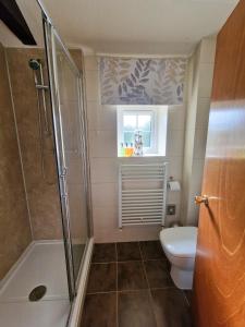 a bathroom with a shower and a toilet and a window at Mickledale at Wetheral Cottages in Great Salkeld