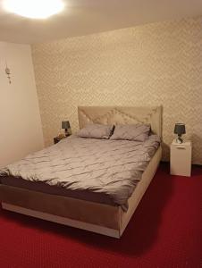 1 dormitorio con 1 cama grande y 2 mesitas de noche en Karina House, en Brasov