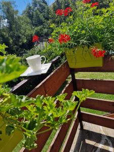 a coffee cup sitting on a table next to flowers at Lochówka - zaciszny domek w górach in Krynica Zdrój