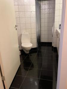 a bathroom with a toilet and a sink at Skøn centralt beliggende lejlighed m.tagterrasse in Herning +9 photos