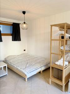 a bedroom with a bunk bed and a ladder at Charming studio on the slopes - Apartment Oliver Folgarida in Folgarida