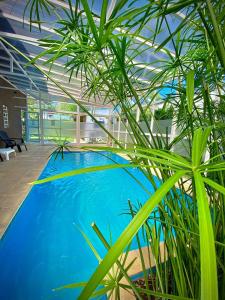 a large pool with green plants in a building at brisas de villa gesell in Villa Gesell