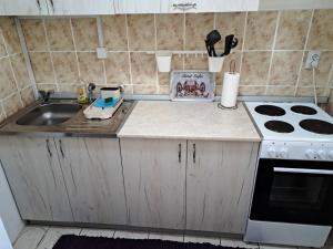 een kleine keuken met een wastafel en een fornuis bij Anja Apartman in Novi Sad