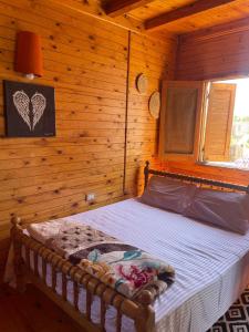 Fotografie z fotogalerie ubytování Dream house dahab v destinaci Dahab