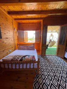 Fotografie z fotogalerie ubytování Dream house dahab v destinaci Dahab