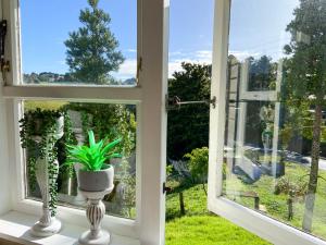 Zahrada ubytování Kauri Villas
