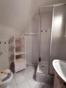 a bathroom with a shower and a toilet and a sink at Ferien im Haus am Waldrand in Freital +23 photos