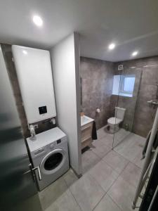 a bathroom with a washing machine and a shower at Appartement le Crozatier in Saint-Georges