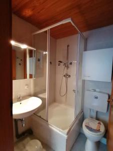 a bathroom with a shower and a toilet and a sink at Haus am Waldrand in Freital