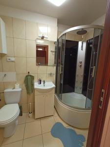 y baño con aseo, lavabo y ducha. en Apartament GUNER, en Bełchatów