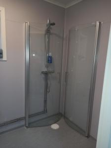 una doccia con porta in vetro in bagno di Easystar guest house a Enkärret