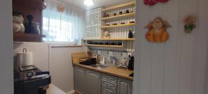 Kuchyňa alebo kuchynka v ubytovaní Retrospekcja - Apartament w centrum