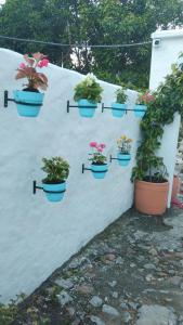 Zahrada ubytování El santorini colombiano cabaña