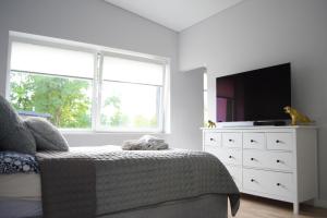 a bedroom with a bed and a tv and a dresser at Big Mama Koala in Druskininkai