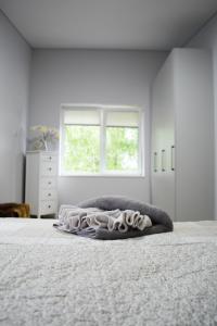 a white bedroom with a blanket on a bed at Big Mama Koala in Druskininkai