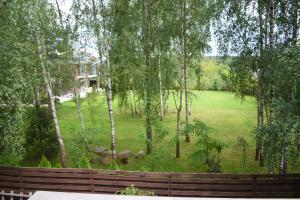 - une vue sur un parc arboré et une clôture dans l'établissement Big Mama Koala, à Druskininkai