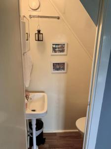 a bathroom with a sink and a toilet at Egen stuga och vedeldad bastu in Linghed