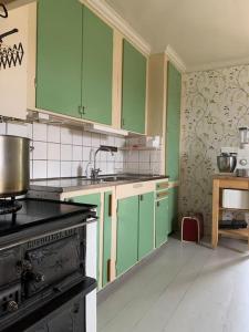 a kitchen with green cabinets and a stove at Egen stuga och vedeldad bastu in Linghed