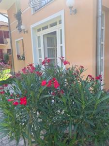 En have udenfor Horváth Apartman + 41 billeder