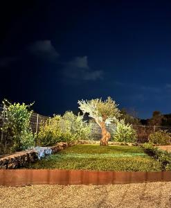 A garden outside La Cantina Villa di campagna