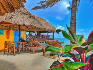 a restaurant on the beach with chairs and umbrellas at Placencia Sailing Catamaran Day Charter « Gingembre » in Placencia