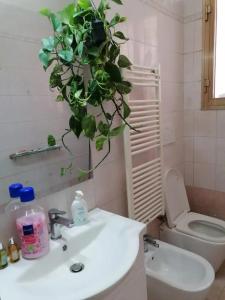 梅斯特Stay Venice Station的浴室设有卫生间和植物水槽。