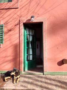 a dog standing in front of a pink building with a green door at El olivo in City Bell