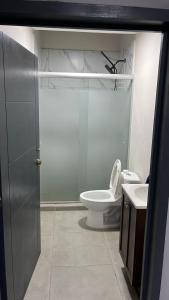 a bathroom with a toilet and a shower and a sink at SaVilie 2 - Seguridad y Comfort in Guadalajara