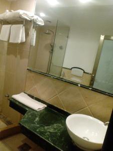 a bathroom with a sink and a shower with a mirror at Salvatore Room With Breakfast- Garden View in Alexandria