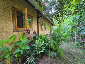 芒希的住宿－Rumah atlas，一座有窗户和一束植物的建筑