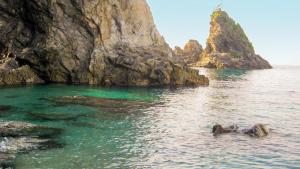 a group oficans swimming in the water near a rock formation at Civico 64 Bed & Breakfast in mansarda in Palmi