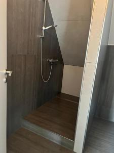 W łazience znajduje się prysznic ze szklanymi drzwiami. w obiekcie Aurela Home w mieście Murg